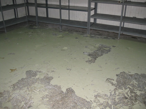 Six Reasons why Epoxy Floors Fail | The Waterproofing and Industrial  Flooring Blog
